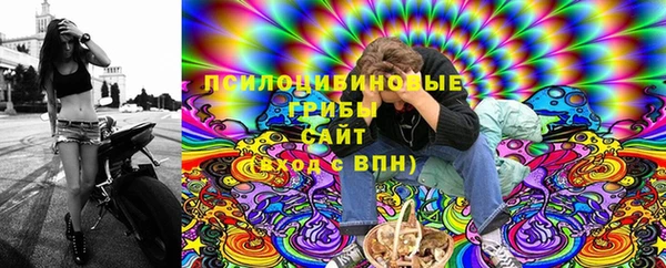 дживик Алзамай