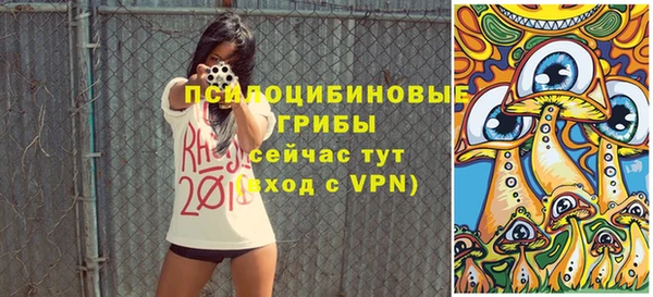 амф Абинск