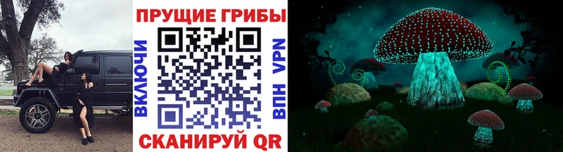 OMG Дивногорск даркнет состав Псилоцибиновые грибы Cubensis