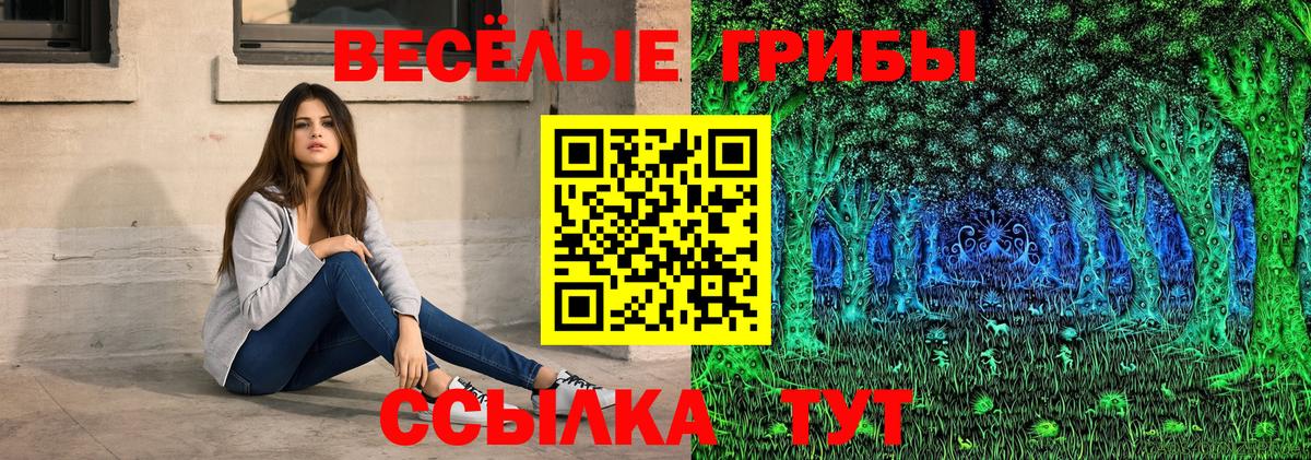 Дивногорск  Псилоцибиновые грибы Psilocybe  как найти закладки  Вход с VPN 